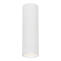 Spot GENESIS WHITE 1xGU10 20cm ML0385 Milagro