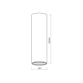 Spot GENESIS WHITE 1xGU10 20cm ML0385 Milagro