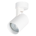 Reflektorek sufitowy ruchomy VOLF SPOT biały do salonu aluminium gwint GU10 ML0676 Milagro