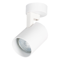 Reflektorek sufitowy ruchomy VOLF SPOT biały do salonu aluminium gwint GU10 ML0676 Milagro