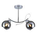 Lampa sufitowa z dymionymi szklanymi kloszami Connor 2xE27 do salonu MLP0873 Milagro