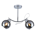 Lampa sufitowa z dymionymi szklanymi kloszami Connor 2xE27 do salonu MLP0873 Milagro
