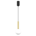 Nowoczesna lampa wisząca PLAY GOLD z subtelnym szklany kloszem 1xG9 MLP0971 Milagro