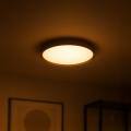 Plafon FOREST 24W LED Ø390 ML2054 Milagro