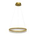 Lampa wisząca GALA GOLD 25W LED ML2240 Milagro