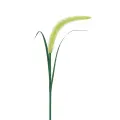 Lampka Solarna Setaria 3000K IP44 EKO2528 Eko-Light