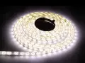 Taśma 120 LED 48W. Barwa Ciepły Biały. IP65. (5 metrów) EKPL1825 Eko-Light