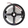Taśma Led Premium 120/m 6000K IP20 5m ML4753 Milagro