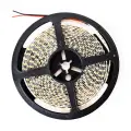 Taśma Led Premium 120/m  4000K IP65 5m ML4757 Milagro