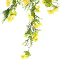 Roślina wisząca Forsycja 1750 62 cm EKKW2690 Eko-Light