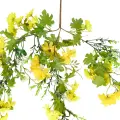 Roślina wisząca Forsycja 1750 62 cm EKKW2690 Eko-Light
