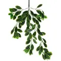 Roślina wisząca Eukaliptus 1760 70 cm EKKW2693 Eko-Light