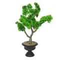 Roślina doniczkowa Bonsai 5210 60 cm EKKW2697 Eko-Light