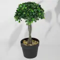 Roślina doniczkowa Drzewko bukszpanowe 5287 28 cm EKKW2708 Eko-Light