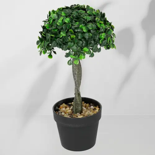 Roślina doniczkowa Drzewko bukszpanowe 5287 28 cm EKKW2708 Eko-Light