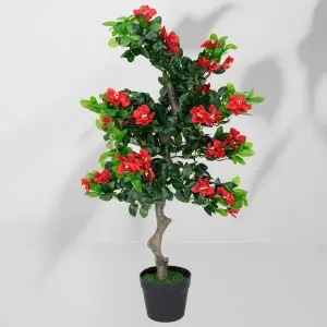 Roślina doniczkowa Drzewko hibiskusa 5350 90 cm EKKW2709 Eko-Light