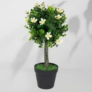 Roślina doniczkowa Drzewko bukszpanowe 5517 40 cm EKKW2711 Eko-Light