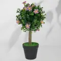 Roślina doniczkowa Drzewko bukszpanowe 5514 40 cm EKKW2712 Eko-Light
