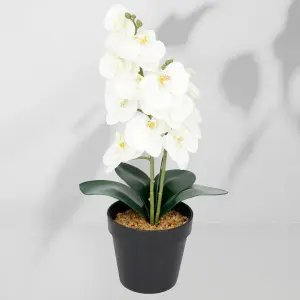 Roślina doniczkowa Storczyk 6400 38 cm EKKW2714 Eko-Light