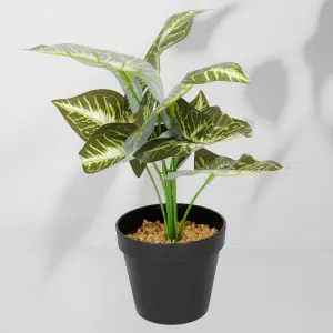 Roślina doniczkowa Maranta 6402 35 cm EKKW2716 Eko-Light