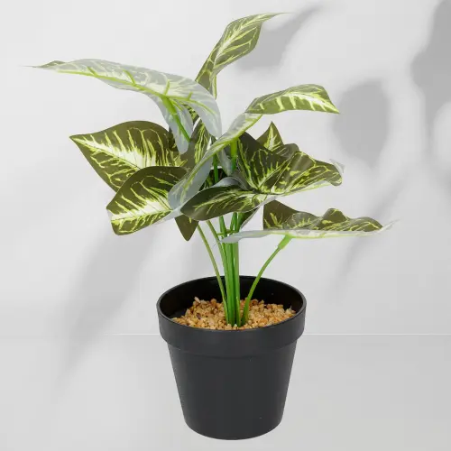 Roślina doniczkowa Maranta 6402 35 cm EKKW2716 Eko-Light