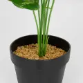 Roślina doniczkowa Monstera ciemna 6406 34 cm EKKW2720 Eko-Light