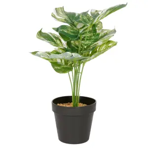 Roślina doniczkowa Monstera ciemna 6406 34 cm EKKW2720 Eko-Light