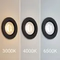 Oczko Sufitowe Okrągłe Ruchome 3/5/7W 3CCT Natynk/Podtynk Czarny EKZ2670 Eko-Light