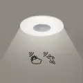 Czujnik ruchu i zmierzchu PIR sufitowy P2 360 IP20 EKG2685 Eko-Light