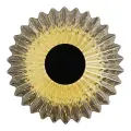 Lampa sufitowa / kinkiet Padre 6W LED ML2794 Milagro
