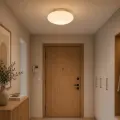 Lampa sufitowa Robin 11W LED ML2804 Milagro