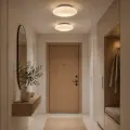 Lampa sufitowa Robin 14W LED ML2806 Milagro