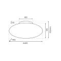 Lampa sufitowa Robin 14W LED ML2806 Milagro