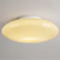 Lampa sufitowa Robin Beige 14W LED ML2807 Milagro