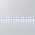 TAŚMA LED FLEX ZIG ZAG IP20 6500K 20m 7,1W EKM2971 Eko-Light