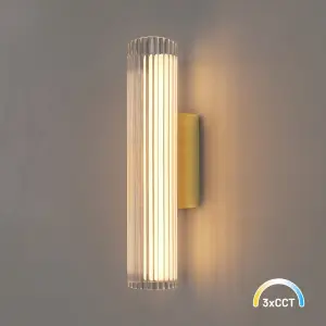 Kinkiet Trivia Gold 6W LED CCT IP44 ML2723 Milagro